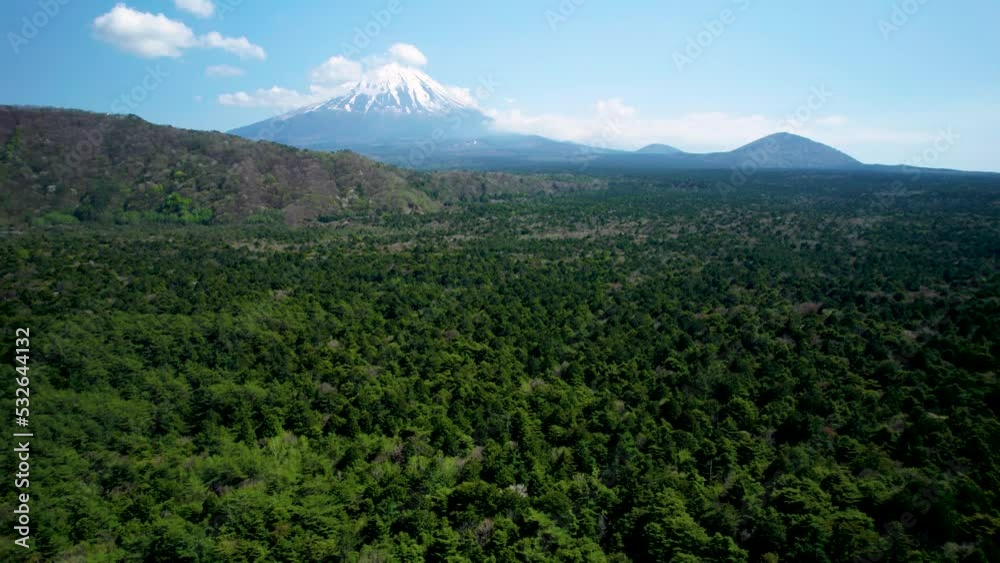 青木ヶ原樹海と富士山を空撮 StockVideo Adobe Stock