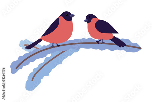 Two bullfinches sit on a snow-covered branch