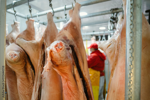 Raw pork hung in the butcher shop