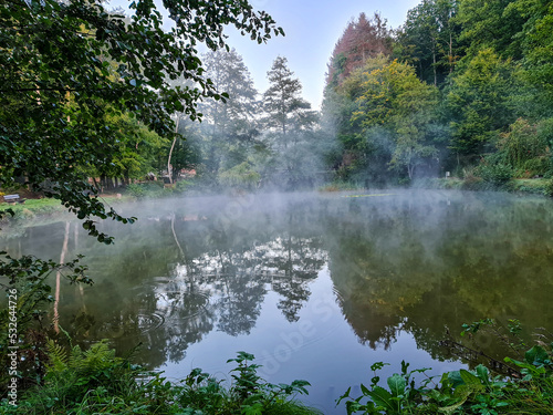 Fototapeta Naklejka Na Ścianę i Meble -  pond in the forest