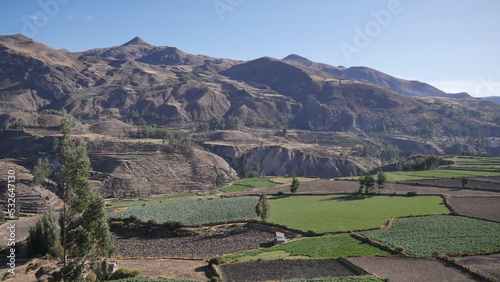 Une route passant à travers de hautes montagnes, avec des champs d'agriculture en bas, traversée péruvienne, en plein jour, terre sec et rouge, orange