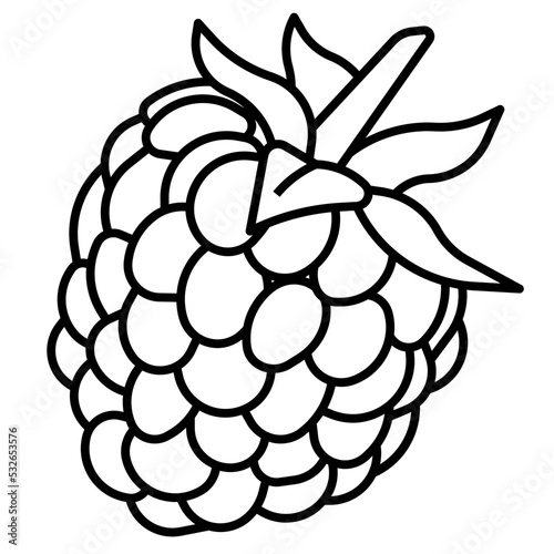 raspberry