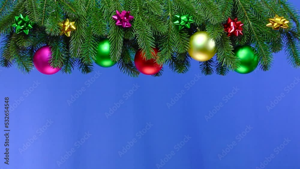 On a blue background, Christmas tree branches decorated with Christmas decorations