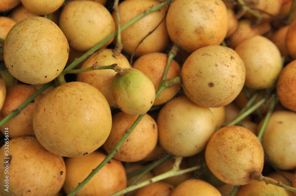 Long kong , Texture of long kong background, Closeup of Lang sat, Tropical fruit, Lansium domesticum in the market Long kong , Texture of long kong background, Closeup of Lang sat, Tropical fruit, Lansium domesticum in the market