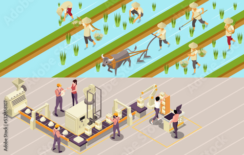 Rice Production Horizontal Compositions