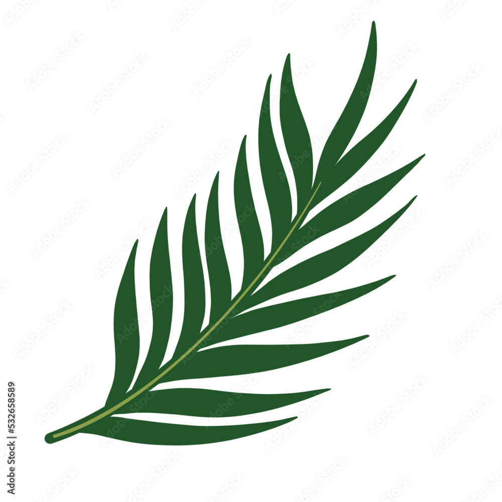 Tropical leaf illustration vector