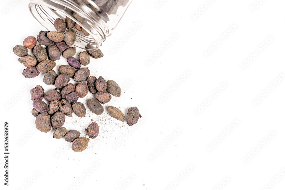 Dry Seeds of Syzygium cumini, commonly known as Malabar plum, java or black plum, jamun or jambolan Dry Seeds of Syzygium cumini, commonly known as Malabar plum, java or black plum, jamun or jambolan