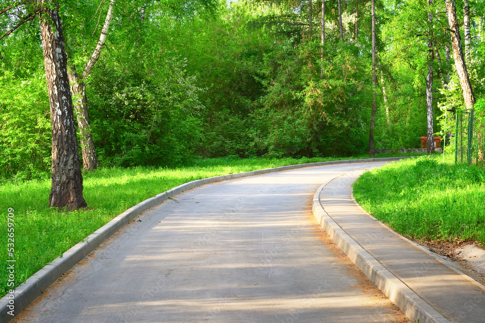 The road in the spring park The road in the spring park