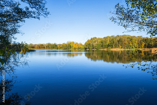 Scenic view at a lake with autumn colors
