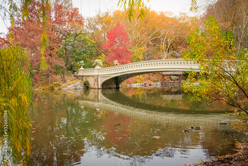 Fototapeta Naklejka Na Ścianę i Meble -  Bow Bridge and lake in Central Park, New York City at golden autumn, USA