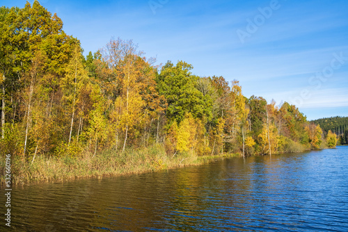 Colorful autumn forest by the lakeshore