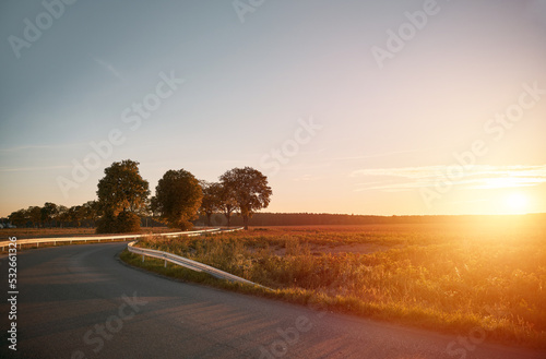Distant trees in the agriculture field. Summer evening landscape in the evening.