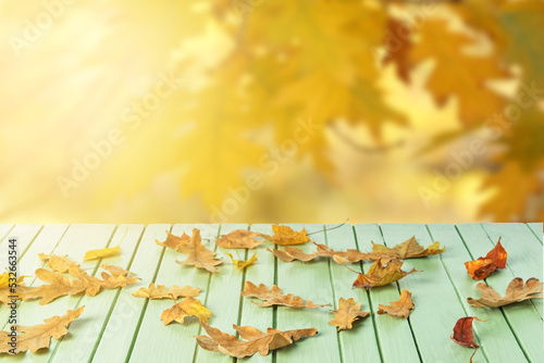 Beautiful autumn leaves on ...