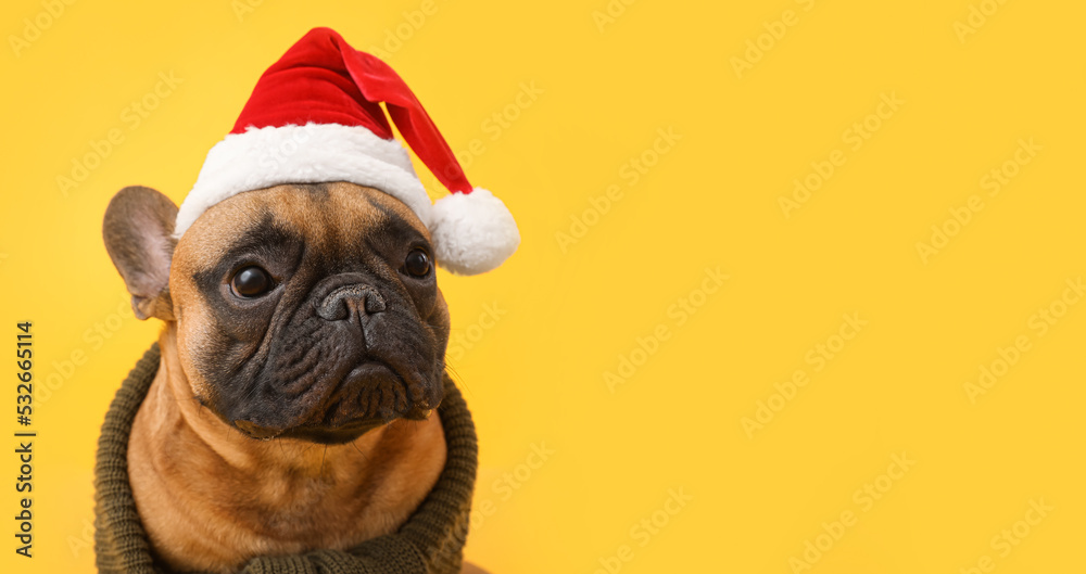 Cute French bulldog in Santa hat on yellow background with space for text