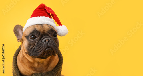 Cute French bulldog in Santa hat on yellow background with space for text © Pixel-Shot