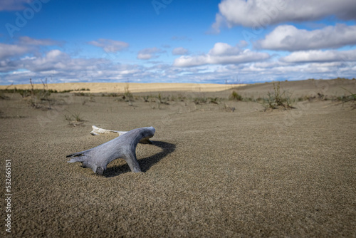 Beautiful landscape view of Kobuk Valley National Park in the arctic of Alaska, one of the least visited national parks in the United States. 