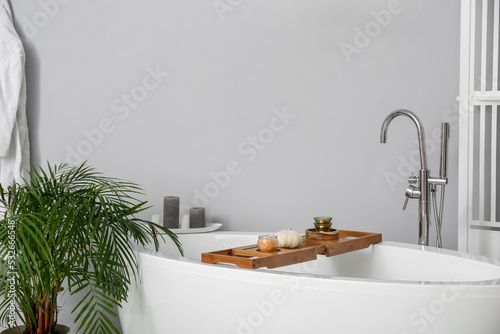 Stylish bathtub and housepl...