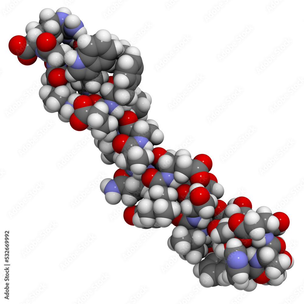 Glucagon-like peptide 1 (GLP1, 7-36) molecule, 3D rendering. Atoms are represented as spheres with conventional color coding. Glucagon-like peptide 1 (GLP1, 7-36) molecule, 3D rendering. Atoms are represented as spheres with conventional color coding.