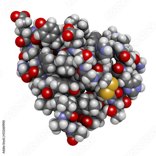 Insulin peptide hormone, 3D rendering. Important drug in treatment of diabetes. Atoms shown as spheres with conventional color coding... photo