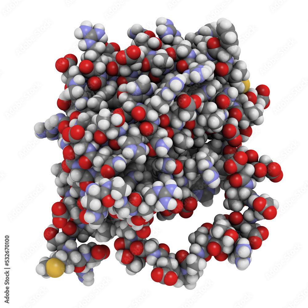 BCL-2 protein, 3D rendering. Prevents apoptosis (cell death) and often found overexpressed in cancer cells. 