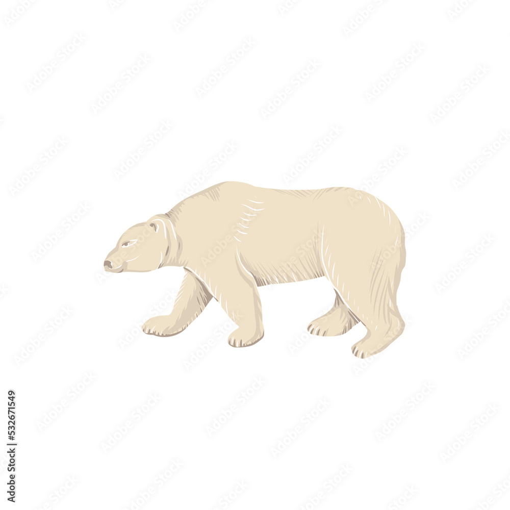 Fototapeta premium arctic animals nature wild world cold north cute cartoon ice snowflake polar bear muskox sperm whale scribe hand drawn