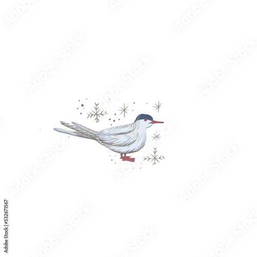 Photography arctic animals nature wild world cold north cute cartoon ice snowflake polar bea