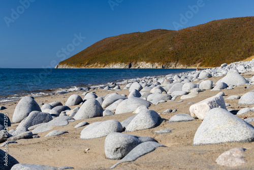 View of the sea. Lots of big stones in the sand. Beautiful autumn landscape. Sea of Okhotsk. Nature of the Magadan region, Far East of Russia. photo