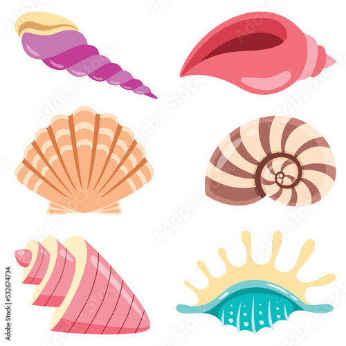 Set Of Various Sea Shells