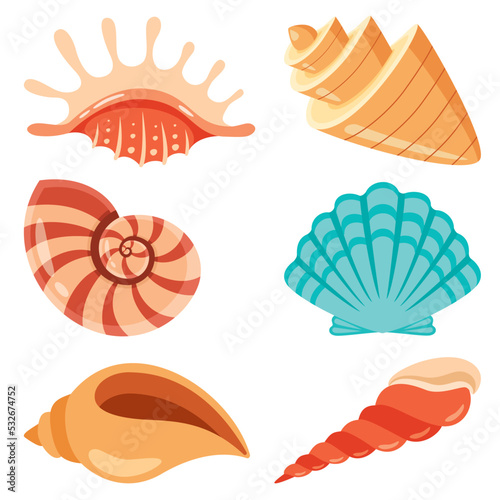 Set Of Various Sea Shells
