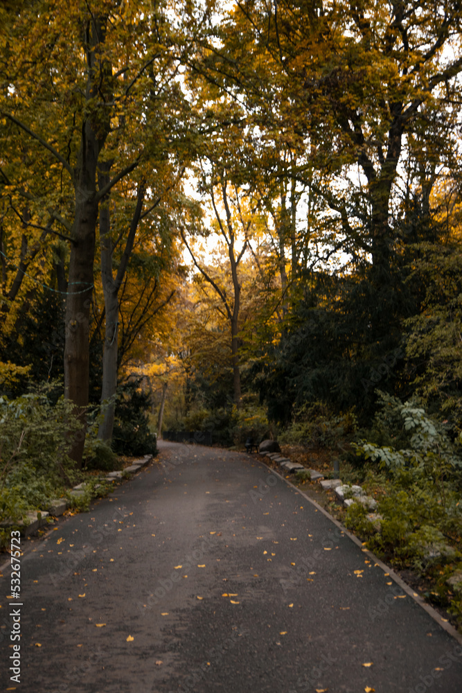 autumn park in Berlin