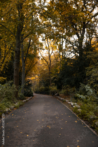 Fototapeta Naklejka Na Ścianę i Meble -  autumn park in Berlin