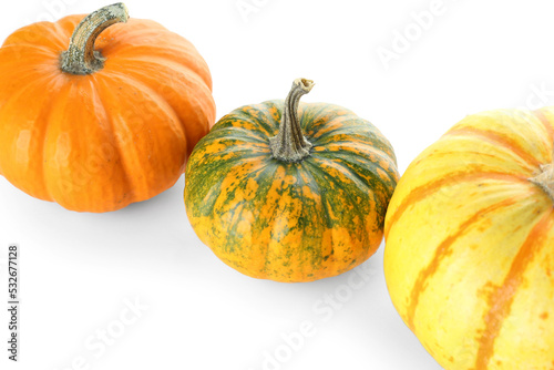 Ripe Halloween pumpkins isolated on white background, closeup © Pixel-Shot