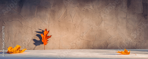 Fotografie Empty gray textured concrete stone podium background with copy space or product