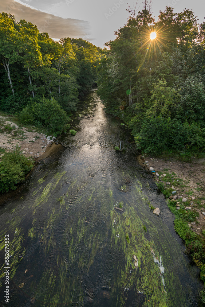 Naklejka premium River seen from above. Almost like Amazon's