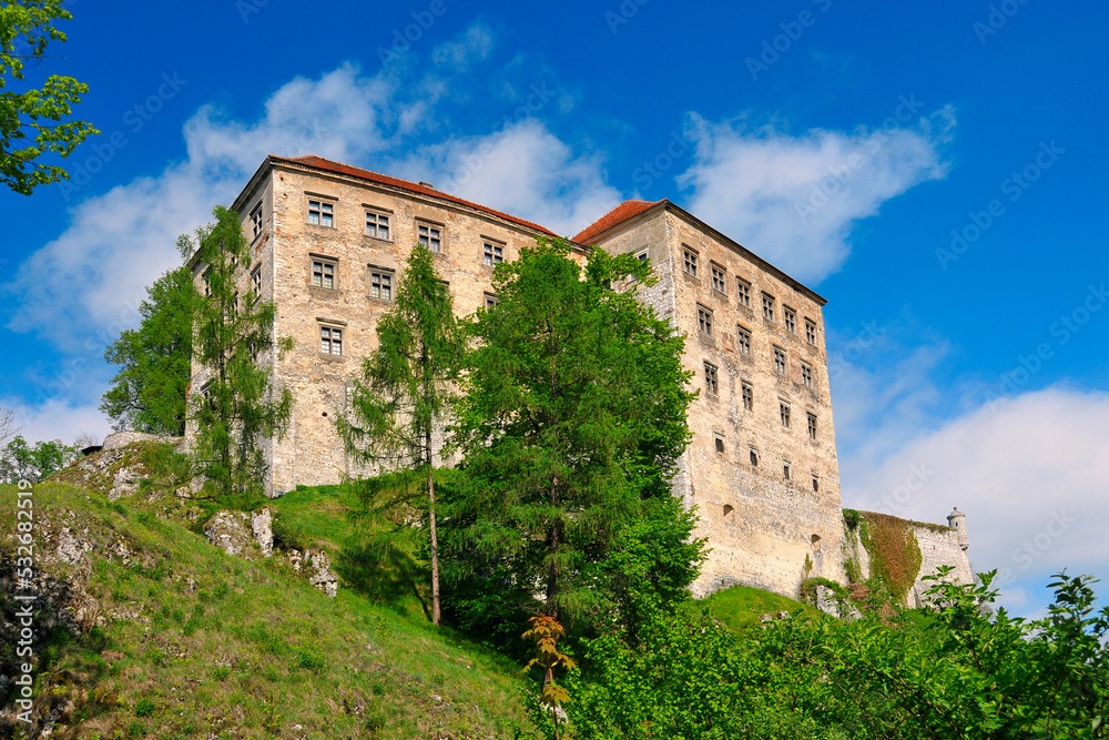 Pieskowa Skala - limestone cliff and renaissance castle near Soluszowa village, Lesser Polan Voivodeship.