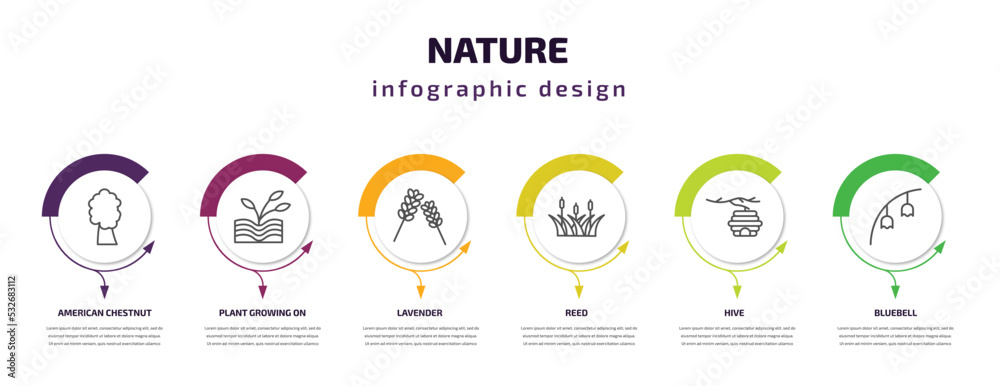 nature infographic template with icons and 6 step or option. nature icons such as american chestnut tree, plant growing on book, lavender, reed, hive, bluebell vector. can be used for banner, info