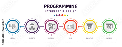 programming infographic template with icons and 6 step or option. programming icons such as hosting, developer, microchip, ux de, bug report, authorize vector. can be used for banner, info graph,