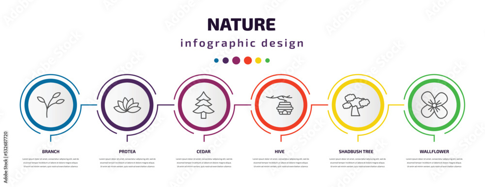 nature infographic template with icons and 6 step or option. nature icons such as branch, protea, cedar, hive, shadbush tree, wallflower vector. can be used for banner, info graph, web, nature infographic template with icons and 6 step or option. nature icons such as branch, protea, cedar, hive, shadbush tree, wallflower vector. can be used for banner, info graph, web,