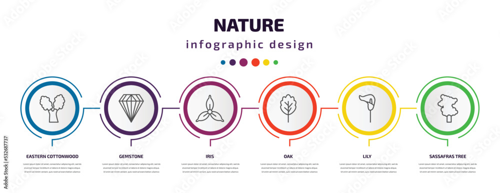 nature infographic template with icons and 6 step or option. nature icons such as eastern cottonwood tree, gemstone, iris, oak, lily, sassafras tree vector. can be used for banner, info graph, web, nature infographic template with icons and 6 step or option. nature icons such as eastern cottonwood tree, gemstone, iris, oak, lily, sassafras tree vector. can be used for banner, info graph, web,