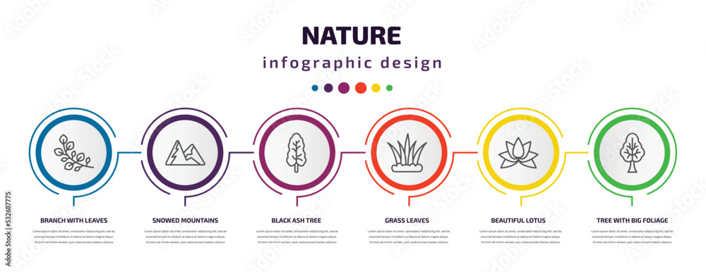 nature infographic template with icons and 6 step or option. nature icons such as branch with leaves, snowed mountains, black ash tree, grass leaves, beautiful lotus flower, tree with big foliage nature infographic template with icons and 6 step or option. nature icons such as branch with leaves, snowed mountains, black ash tree, grass leaves, beautiful lotus flower, tree with big foliage