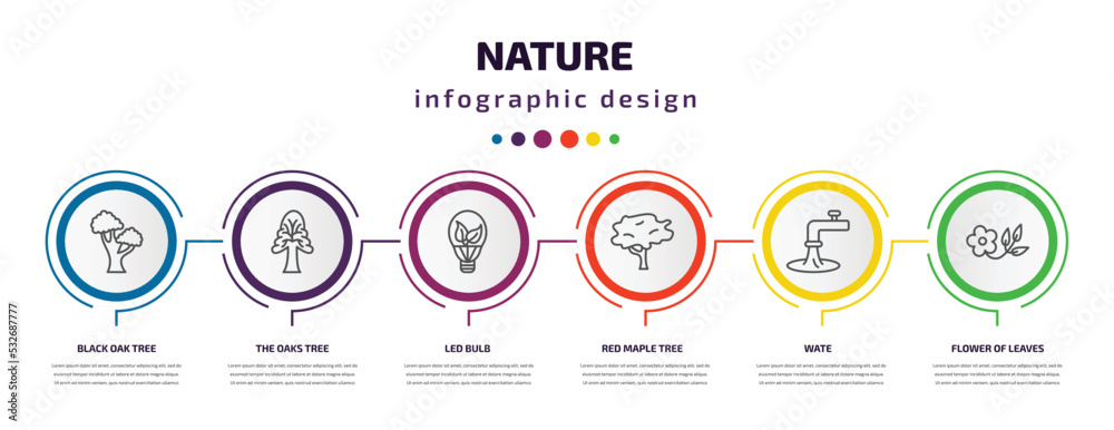 nature infographic template with icons and 6 step or option. nature icons such as black oak tree, the oaks tree, led bulb, red maple tree, wate, flower of leaves vector. can be used for banner, info