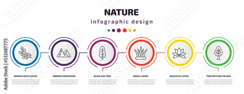 nature infographic template with icons and 6 step or option. nature icons such as branch with leaves, snowed mountains, black ash tree, grass leaves, beautiful lotus flower, tree with big foliage