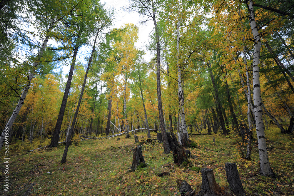 Obraz premium 몽골의 유명한 관광명소인 올레3코스(어거머린암)의 아름다운 풍경입니다.