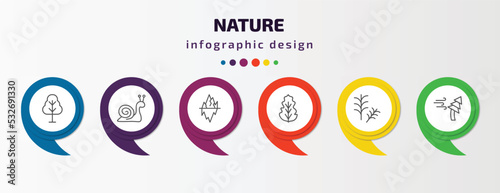 nature infographic template with icons and 6 step or option. nature icons such as birch, snail, iceberg, peppermint, rosemary, windstorm vector. can be used for banner, info graph, web, photo