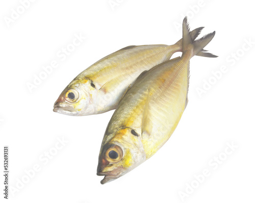 Two bigeye scad fishes isolated on white 