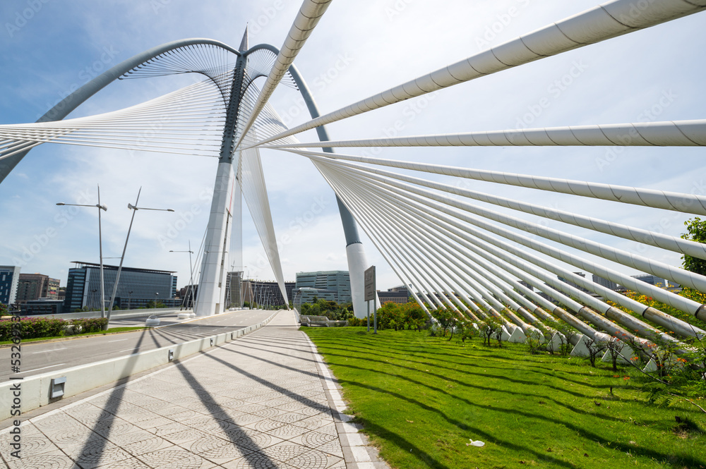 Fototapeta premium The Seri Wawasan Bridge in Putrajaya