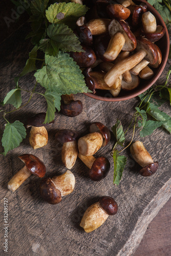 Pile of Imleria Badia or Boletus badius mushrooms commonly known as the bay bolete on vintage wooden background..