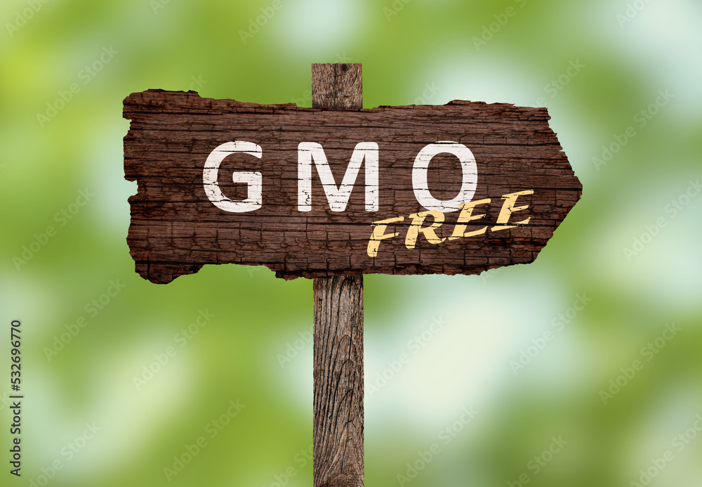 Wooden sign with phrase GMO free on blurred green background