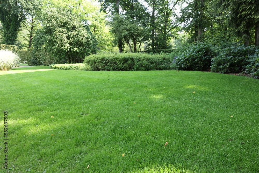 Beautiful lawn with green grass on sunny day Beautiful lawn with green grass on sunny day