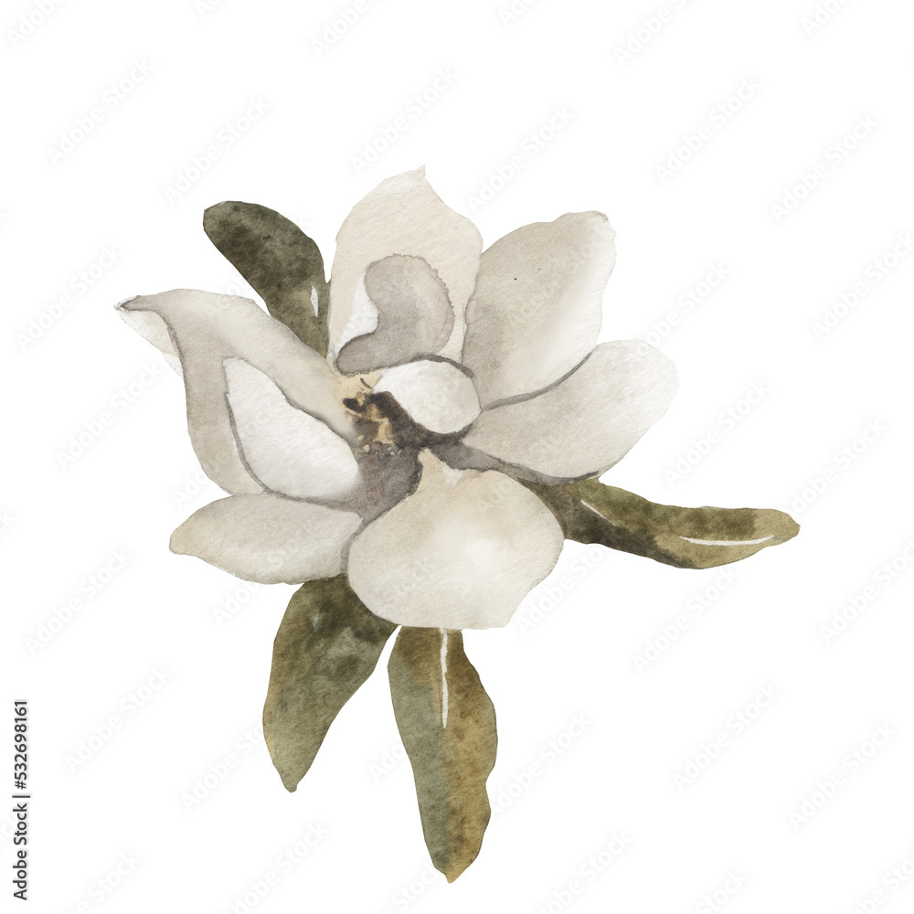 Magnolia flower isolated on white background. Watercolor PNG white wedding flowers. Hand painted wedding bouquet. Invitation design with magnolias. Floral watercolor illustration for wedding template.